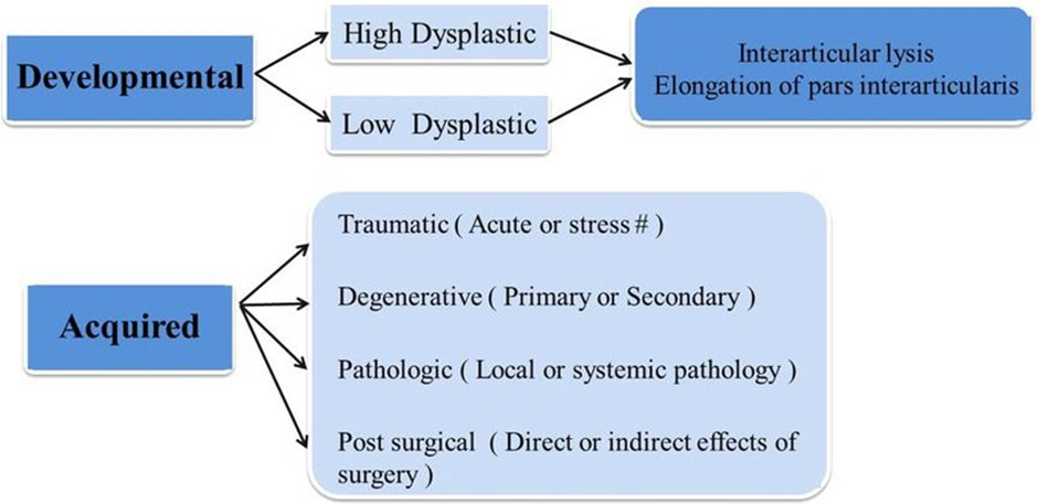 Spondylolisthesis, Spondylolysis, and Spondylosis: Understanding the Differences 3 image4