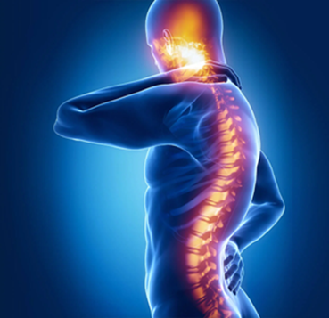 Spinal Cord Injury and Its Orthotic Management 1 Spinal Cord Injury (SCI)