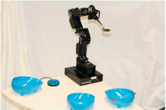 Spinal Cord Injury and Its Orthotic Management 9 Feeding aids